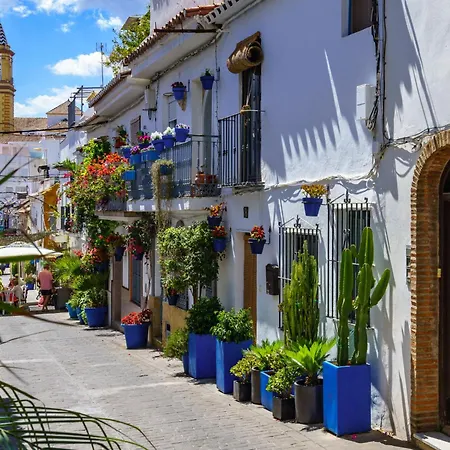 公寓 Andalucia Pinos By Interhome 埃斯特波纳